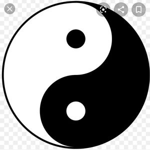 Meet your Posher, Flaco